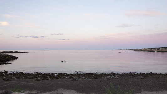 Dive > 2013 > 336 336 20130823 BackBeach