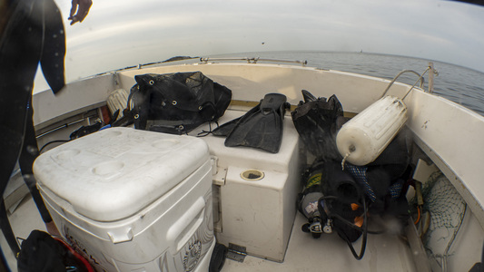 Dive > 2020 > 757 757 20200927 LittleCalf