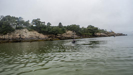 Dive > 2020 > 754 754 20200902 NighFolly