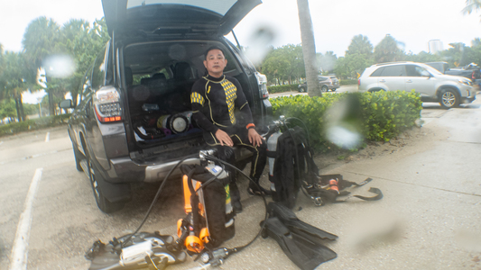 Dive > 2020 > 764 764 20201021 FKBlueHeron