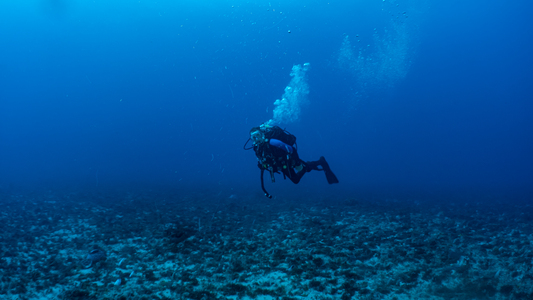 Dive > 2020 > 766 767 20201023 WestPalm