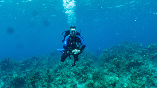 Dive > 2021 > 779 781 202120926 RTSun