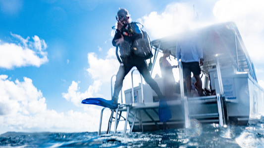 Dive > 2021 > 782 784  20210927 RTMon