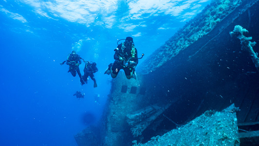 Dive > 2021 > 797 798 20211107 EGSun