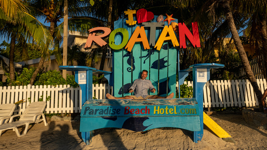 Dive > 2021 > 795 795 20210901 RTFri