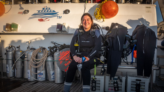 Dive > 2021 > 799 799 20211108 EGMon