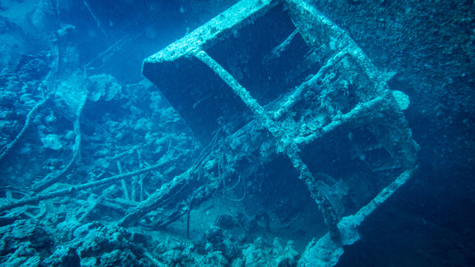 Dive > 2021 > 801 801 20211108 EGMon3