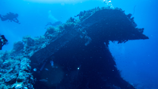 Dive > 2021 > 804 805 20211109 EGTue1