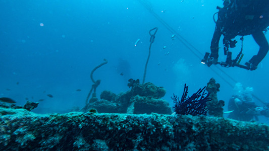 Dive > 2021 > 809 810 20211110 EGWed2Rosali