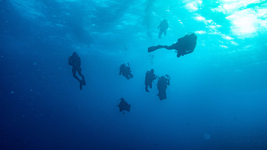 Dive > 2021 > 811 813 20211111 EGThu