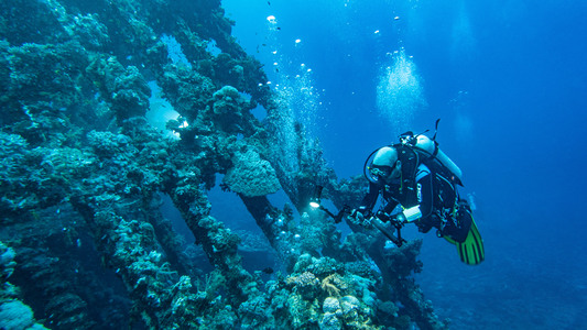 Dive > 2021 > 814 815 20211112 EGFri