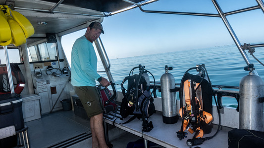 Dive > 2021 > 816 817 20211214 PRTue