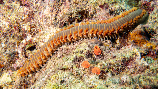 Dive > 2021 > 820 821 20211215 PRThu