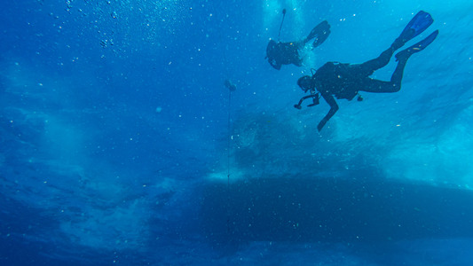 Dive > 2021 > 822 823 20211216 PRFri