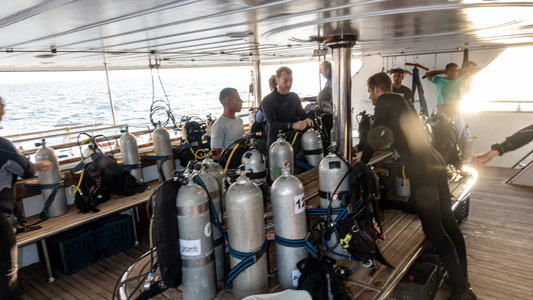 Dive > 2022 > 845 846 20221017 EGMon