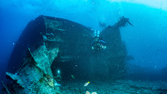 Dive > 2022 > 849 850 20221018 EGTueMorning