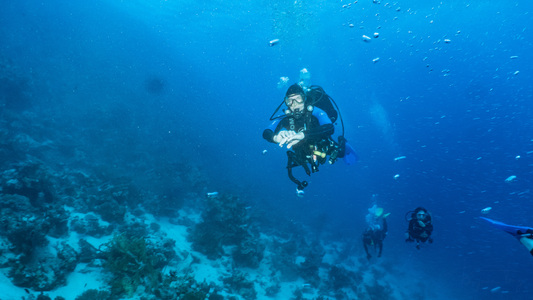 Dive > 2022 > 853 855 20221019 EGWed