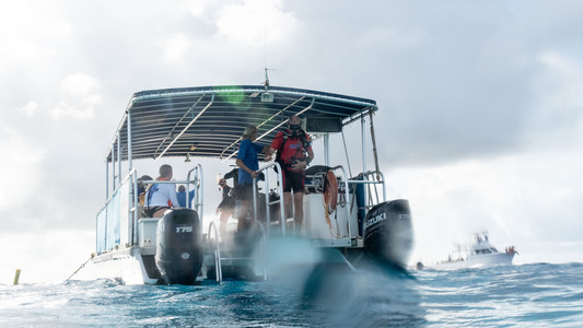 Dive > 2023 > 942 944 20231019 BonThu