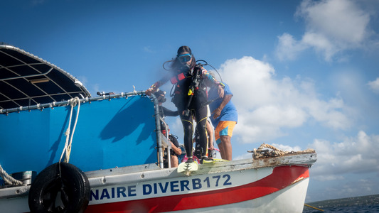 Dive > 2023 > 932-934 20231016-BonMon