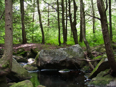 Family > 2005 > 200509 Hike
