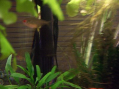 Family > 2006 > 200606 Tilton > 101K7530