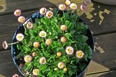 Family > 2007 > 200708 Quebec Stowe