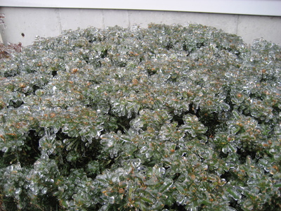 Family > 2007 > 200703 CrystalWorld