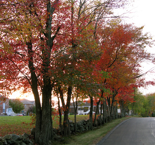 Family > 2007 > 200710 HDRLearning