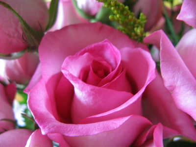 Family > 2007 > 200712 AtlantaTrip