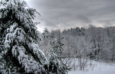 Family > 2007 > 200712 Winter