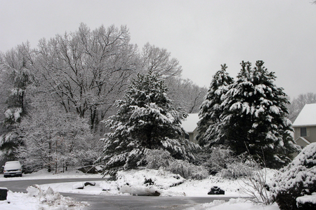 Family > 2008 > 200802 WinterSpring