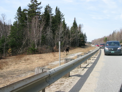 Family > 2008 > 20081012 MiscWinterSummer > Winter