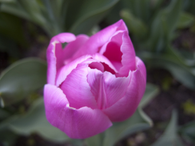 Family > 2009 > 20090502 Ogunquit