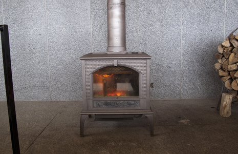 Family > 2009 > 20090301 StoweWinter