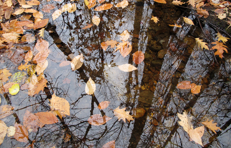 Family > 2009 > 20091101 Hike