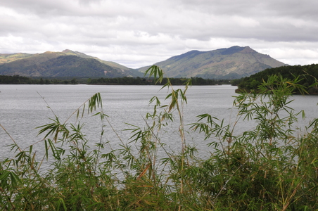 Family > 2009 > 20091206 PleikuFamily