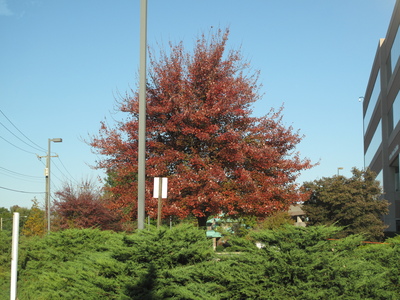 Family > 2010 > 20101020 NhiVisit > 189CANON