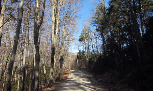 Family > 2010 > 20101121 HikeMonadnock