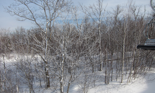 Family > 2010 > 20101219 SunapeeFirstOfSeason