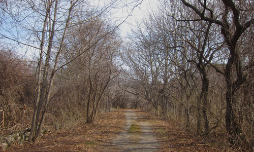 Family > 2011 > 20110416 EarthDayClean