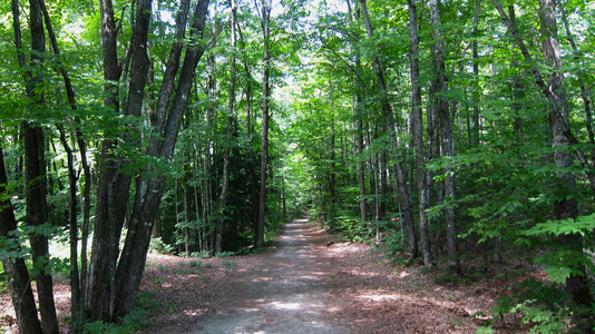 Family > 2011 > 20110717 Cardigan