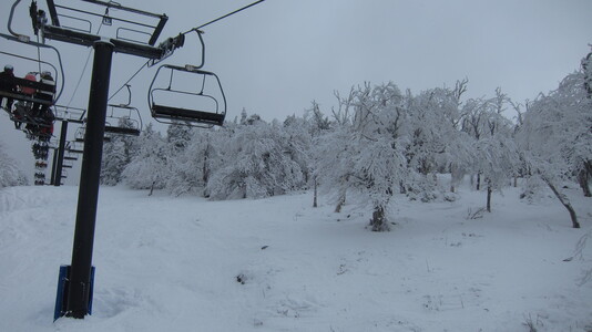 Family > 2011 > 20110130 SunapeeFreddyNikie