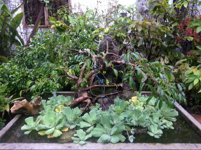 Family > 2012 > 20120917 PhuongWeddingSun