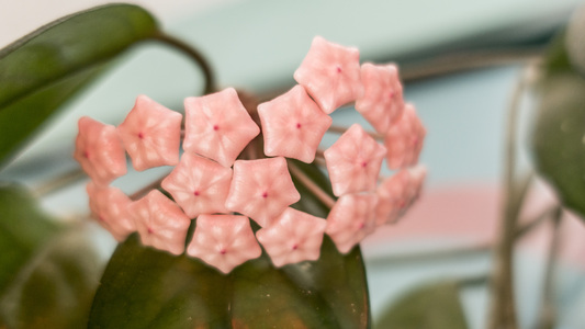 Family > 2016 > 20160601 Misc