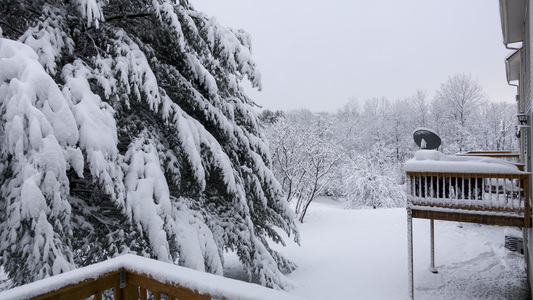 Family > 2016 > 20160301 Snow