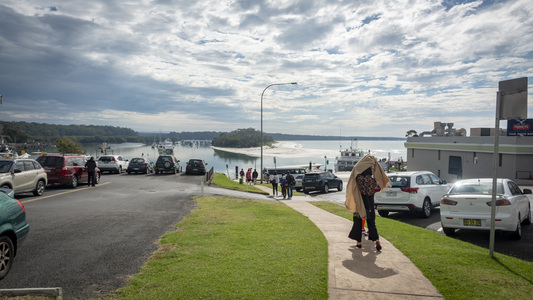 Family > 2019 > 20190502 AUSydneyJervisBayDolphin