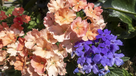 Family > 2020 > 20200822 PhotoTour