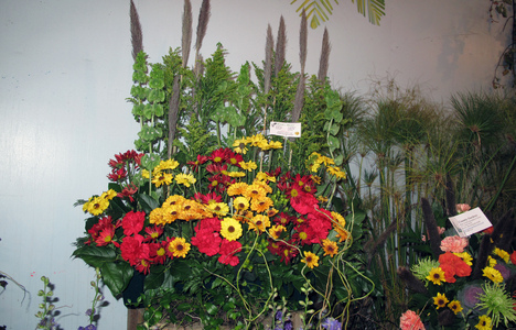 Friends > 20091006 Topsfield