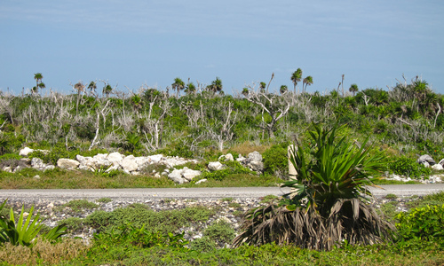Friends > 20101104 Cozumel Thu